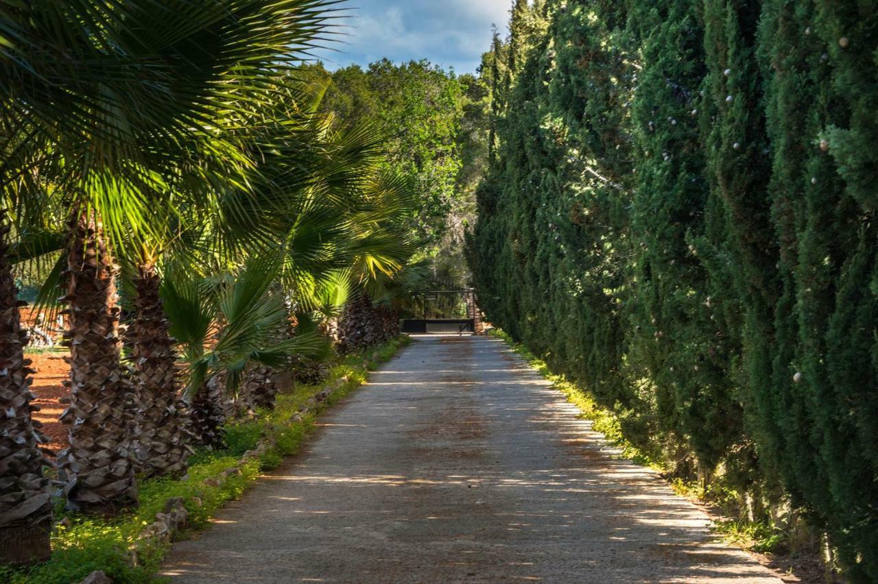 Villa Can Fita Puig D'en Valls Dış mekan fotoğraf