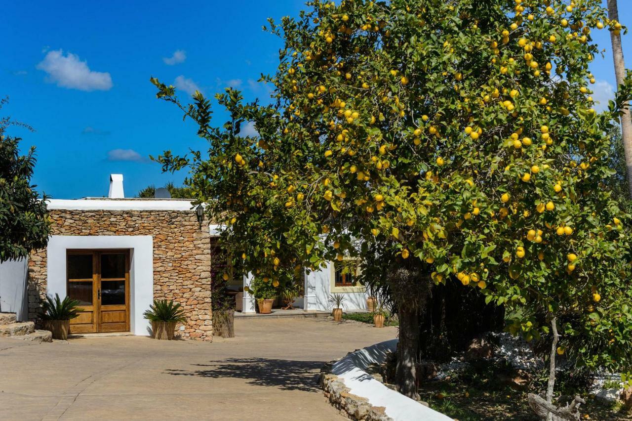 Villa Can Fita Puig D'en Valls Dış mekan fotoğraf